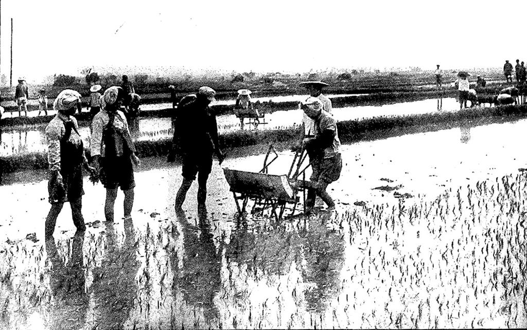 数据创新平台发布图片