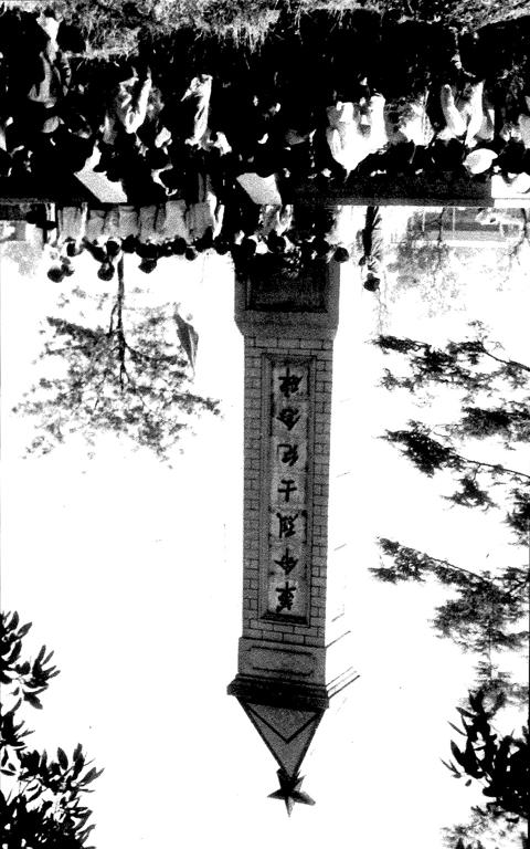 数据创新平台发布图片