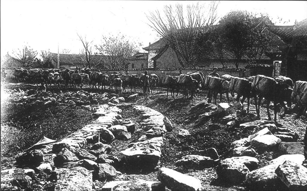 数据创新平台发布图片